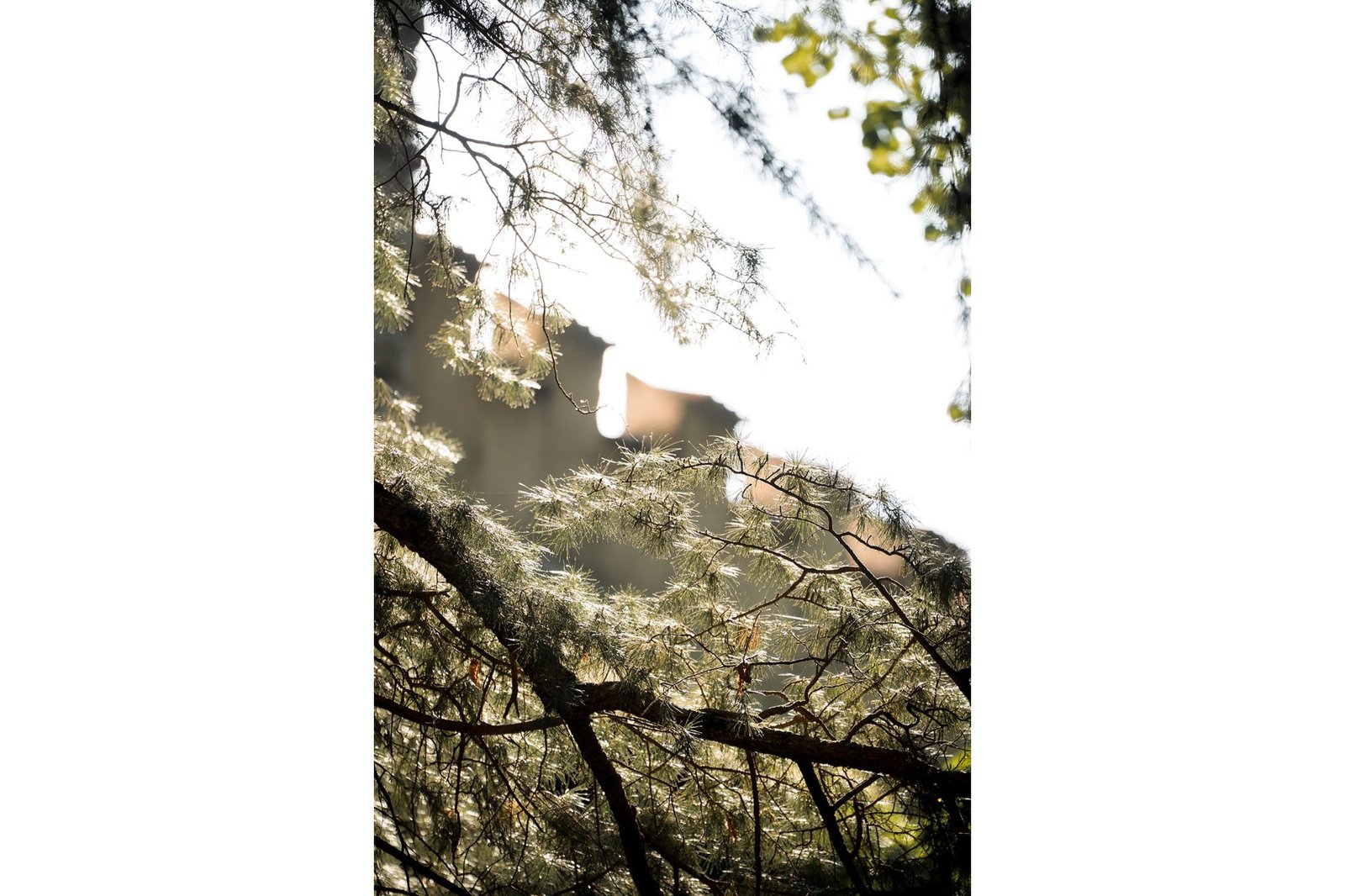 Wedding Photography Italy - Nadin Carli