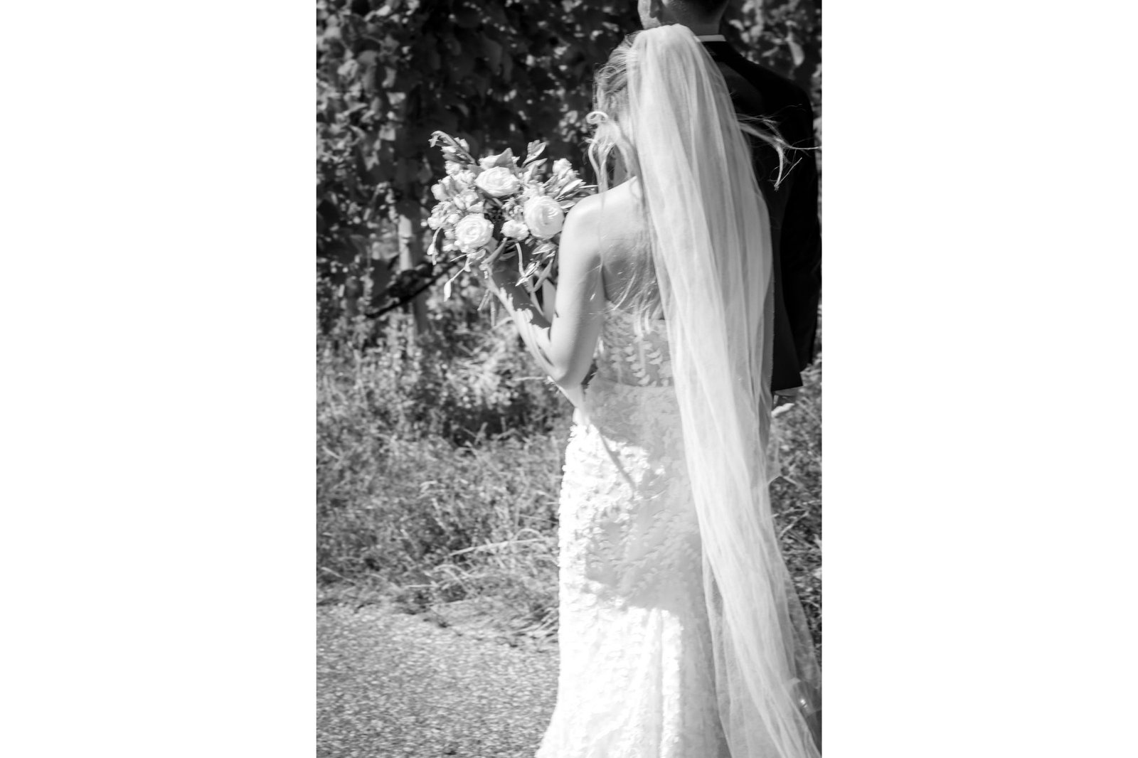 Hochzeit zwischen Weinreben